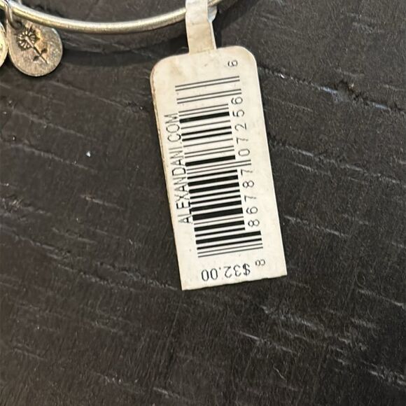 NWT Alex And Ani Yankee Stadium Baseball MLB New York Charm Bracelet Energy - Picture 5 of 7